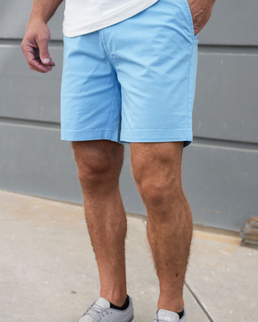 USA Palm Brushed Stretch Cotton Shorts 7 Final Sale